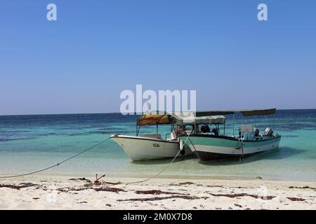 Touristenboote auf einer unbewohnten Insel Dahlak Stockfoto