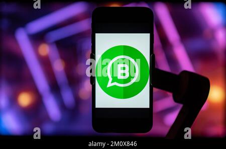 In dieser Fotoabbildung wird das Logo einer WhatsApp Business-App auf dem Bildschirm eines Mobiltelefons angezeigt. Stockfoto