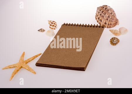 Kleines braunes Spiralheft mit Muscheln auf weißem Hintergrund Stockfoto