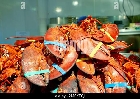 New York. Manhattan. Vereinigte Staaten. Lobster Place Restaurant am Chelsea Market Stockfoto