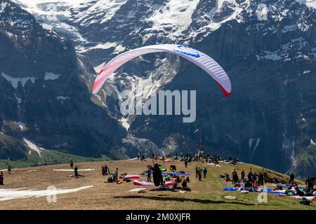 Einzelner Gleitschirmflug bereit für den Start auf dem ersten Berggipfel in den Schweizer Alpen. Andere sehen zu. In Der Nähe Von Grindelwald Stockfoto