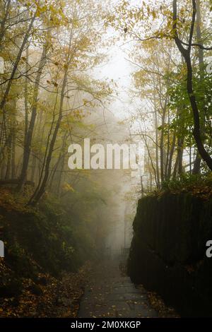 Ein Pfad zwischen Felsen und bunten Bäumen im Nebel und Nebel an einem Herbsttag Stockfoto