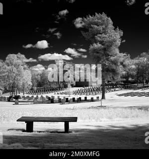 Schwarzweißfoto des deutschen Militärfriedhofs im Frühling auf Cannock Chase AONB Area of Outstanding Natural Beauty in Staffordshire, England Stockfoto