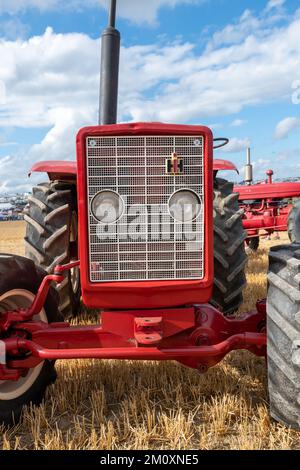 Tarrant Hinton.Dorset.United Kingdom.August 25. 2022.Ein restaurierter International Harvester 523 Utility Traktor wird im Great Dorset Steam F ausgestellt Stockfoto