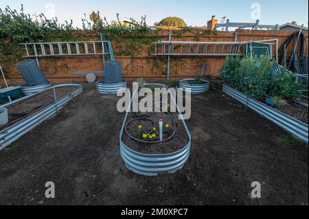 Erhöhte Gartenbetten in einem Hinterhof. Stockfoto