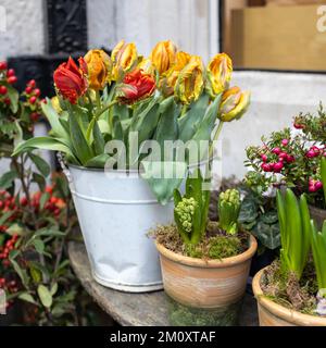 In den Kartons neben dem Liberty Store in London sind Blumen in verschiedenen roten Farben zu finden. Große Blumensträuße in Zinnvasen. Stockfoto