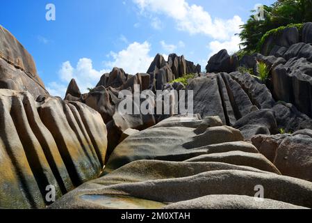 Granitfelsen in der Nähe des Strandes Anse Source d'Argent. Die Insel La Digue, die Seychellen. Stockfoto