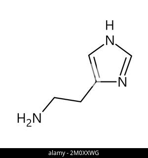 Histaminmolekularstruktur. Histamin ist eine organische Verbindung, die an lokalen Immunreaktionen beteiligt ist, physiologische Funktionen reguliert und als Neurotransmitter wirkt. Vektorstrukturformel einer chemischen Verbindung mit roten Bindungen und schwarzen Atommarkierungen. Stock Vektor