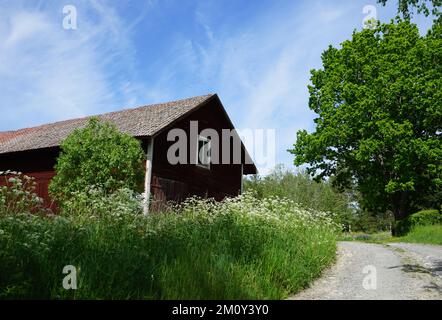 Niedriger Winkel mit Blick auf eine alte hölzerne Scheune gegen den Himmel Stockfoto