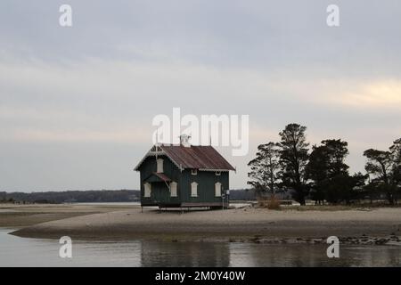 Foto von Gamecock Cottage im Wetlands Meadow Preserve. Stockfoto