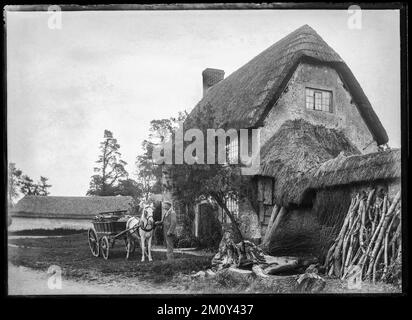 Digitalisierte Archivkopie eines Original-Halbplattenglasnegativs. Fotograf unbekannt. Pony und Falle vor einem strohgedeckten Dorset-Häuschen. Vermutlich c. 1880 Stockfoto