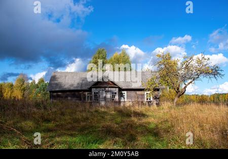 Ein altes, unlackiertes, verlassenes Haus am Waldrand. Das Gebiet ist überwuchert. Stockfoto