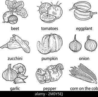 Handgezeichnete Vektordarstellung eines Gemüsesets. Stock Vektor