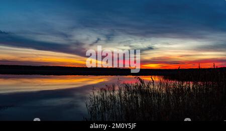 Wunderschöner Herbstuntergang auf dem See. Abendhimmel mit Wasservegetation im Vordergrund. Stockfoto