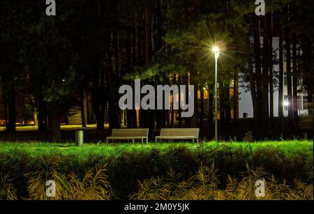 Nacht im Park, zwei Bänke, beleuchtet von Lampen, Herbst. Stockfoto