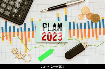 Karte mit dem Text Plan 2023 auf hellem Hintergrund neben dem Löwen der aufgestiegenen Geschenkzweige und Fichtenzweige. Stockfoto