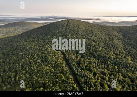 Die Grenze zwischen USA und Kanada überquert einen bewaldeten Berg in der Nähe von Woburn, Quebec Stockfoto