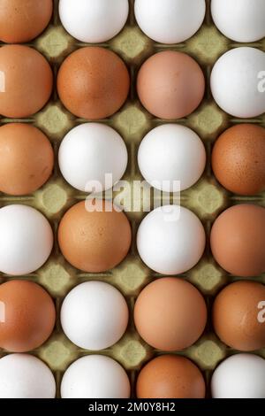 Nahaufnahme der Eier auf einer Pappe. Stockfoto