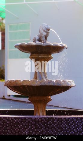 Springbrunnen im Freien mit einer Löwenskulptur Stockfoto