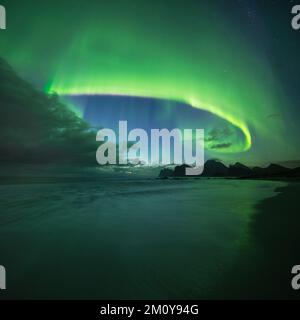 Nordlichter – aurora borealis, Lofoten, Norwegen Stockfoto