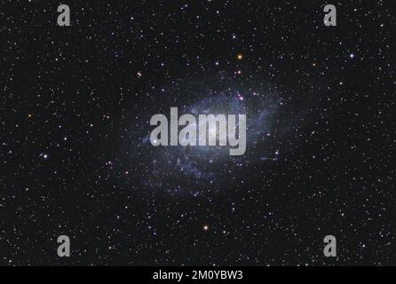 Das Triangulum Galaxy M33 im Sternbild Triangulum mit Nebel, offenem Cluster, Globulärem Cluster und Sternen Stockfoto