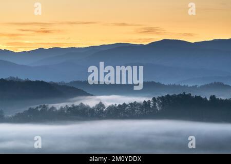 Nebeliger Sonnenaufgang, vom Foothills Parkway. Great Smoky Mountains National Park, TN, USA, Ende Oktober, von Dominique Braud/Dembinsky Photo Assoc Stockfoto