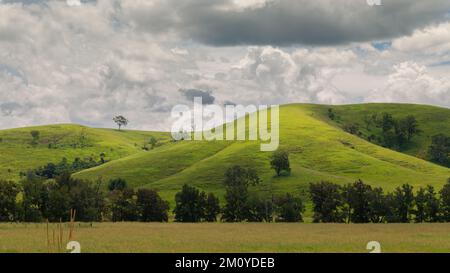 Malerische ländliche Szene mit sanften Hügeln mit Bäumen und einem wolkigen Himmel, der Schatten über die Landschaft Australiens schafft. Stockfoto