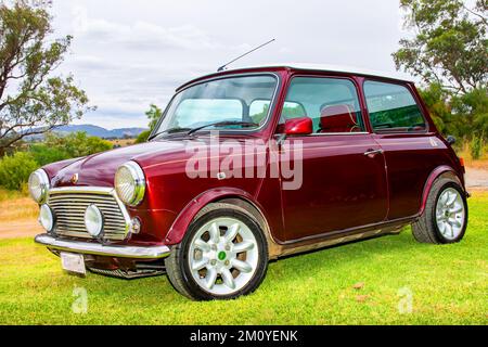 1999 Rover Mini Cooper 40. Jubiläumsausgabe. Maulbeerfarbe mit Goldstreifen Stockfoto