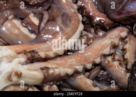 Nahaufnahme der Arme eines Oktopus auf dem Markt. Ein Meerestier, um Menschen zu füttern. Stockfoto