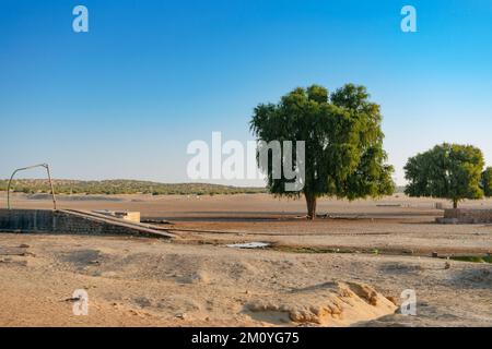 Ranautar, ein abgelegenes Wüstendorf in der Wüste. Entfernter Horizont, heißer Sommer mit wolkenlosem blauem Hintergrund, Thar Desert, Rajasthan, Indien Stockfoto