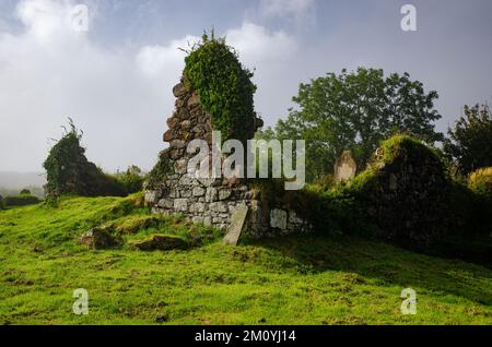 Moody-Szene mit zerstörten Steinmauern und Grabsteinen, die mit Efeu, Gras und Moos auf dem alten Friedhof in Irland überwuchert sind Stockfoto