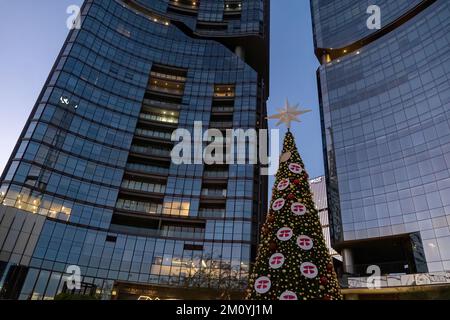 weihnachtsbaumhochhäuser im Hintergrund, weihnachts- und Geschäftskonzept, mexiko Stockfoto