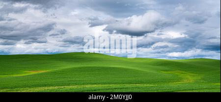 Idyllische Hügel mit grünem Gras unter einem dramatischen Himmel im Frühling Stockfoto