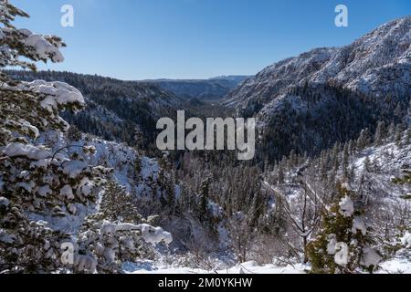 Schneebedeckte Bäume und Berge im Oak Creek Canyon bei Sedona, Arizona Stockfoto