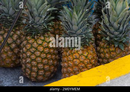 In Scheiben und zur Hälfte Ananas Comosus auf einem Holztisch mit verschwommenem Gartenhintergrund Stockfoto