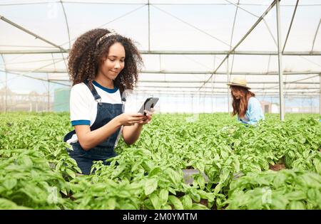 Mit benachbarten Bauern über ihren Ernteertrag plaudern. Eine junge Frau, die ein Handy benutzt, während sie auf einer Farm arbeitet. Stockfoto