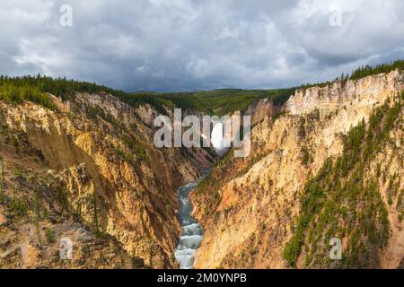 Die weitläufige Landschaft des Grand Canyon of the Yellostone mit den Lower Falls im Yellowstone-Nationalpark, Wyoming Stockfoto