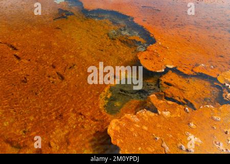 Cyanobakterien bilden ein abstraktes Muster orangefarbener Matten im Firehole Lake, Yellowstone-Nationalpark, Wyoming Stockfoto