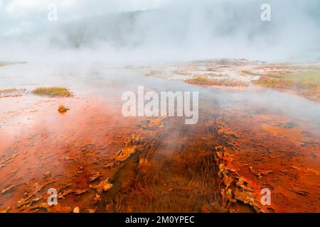 Am Firehole Lake im Yellowstone-Nationalpark strömt ein klarer Bach durch eine surreale Szene aus orangefarbenen Cyanobakterien-Matten und Dampf Stockfoto