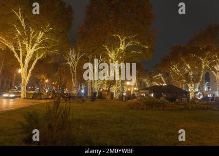 Die Bäume im Park sind an einem Winterabend mit kleinen Glühbirnen dekoriert. Wunderschöner Park mit Bäumen, die mit warmem gelben Licht beleuchtet werden. Stockfoto