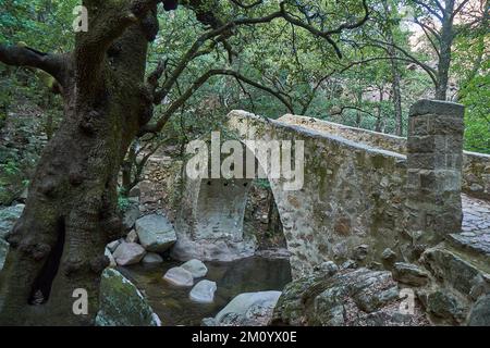 Alte römische Brücke in der Schlucht von Spelunca, ein beliebtes Ziel für Wanderungen entlang eines alten römischen Fußwegs auf der Insel Korsika in Frankreich Stockfoto