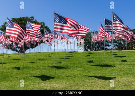 Patriotische Szene mit mehreren amerikanischen Flaggen, die über einen grünen Rasen fliegen Stockfoto