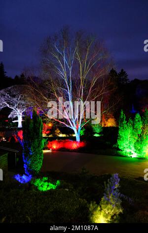 The Glow, Winter Illuminations, RHS Harlow Carr Gardens, Harrogate 2022 Stockfoto