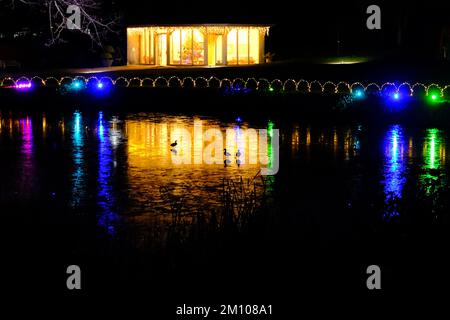 The Glow, Winter Illuminations, RHS Harlow Carr Gardens, Harrogate 2022 Stockfoto