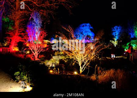 The Glow, Winter Illuminations, RHS Harlow Carr Gardens, Harrogate 2022 Stockfoto