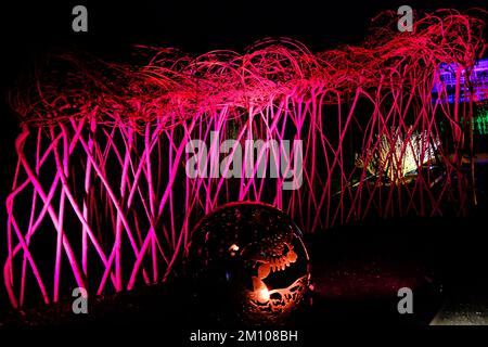 The Glow, Winter Illuminations, RHS Harlow Carr Gardens, Harrogate 2022 Stockfoto