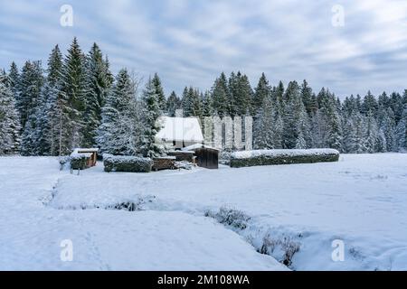 Holzhaus, Ferienhaus am Waldrand auf dem Hügel im ersten Schnee, verschneite Landschaft mit weißen Wiesen und Bäumen. Advent und Weihnachtszeit Ferien Stockfoto