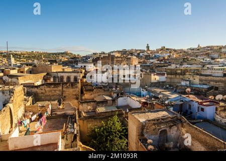 Panoramablick aus der Vogelperspektive auf die historische Innenstadt namens Medina bei Sonnenuntergang, Fès, Marokko, Nordafrika Stockfoto