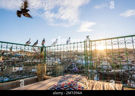 Tauben ruhen sich während des Sonnenuntergangs auf der Dachterrasse in Medina, Fez, Marokko, Nordafrika aus Stockfoto