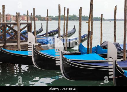 Festgemachte Gondeln, typische venezianische Boote im Becken nahe dem Markusplatz in Venedig in Norditalien, OHNE MENSCHEN Stockfoto